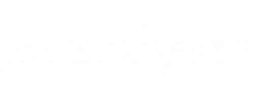 Handwritten style white cursive text spelling 'poetslayer' on a transparent background.