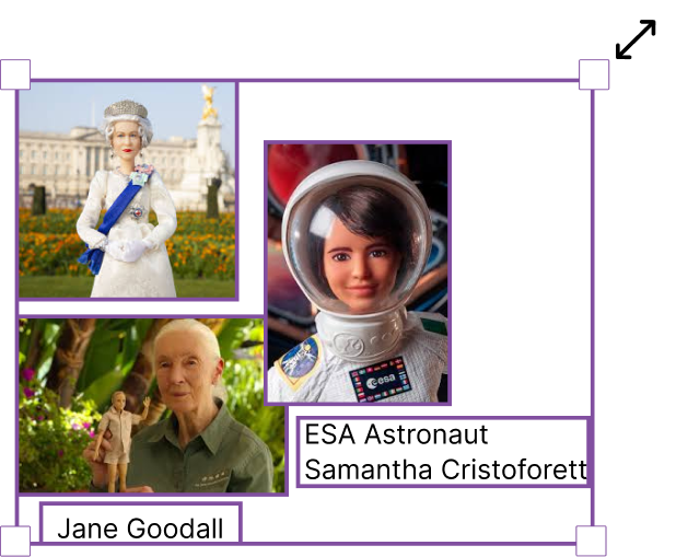 Multi-card resizing
