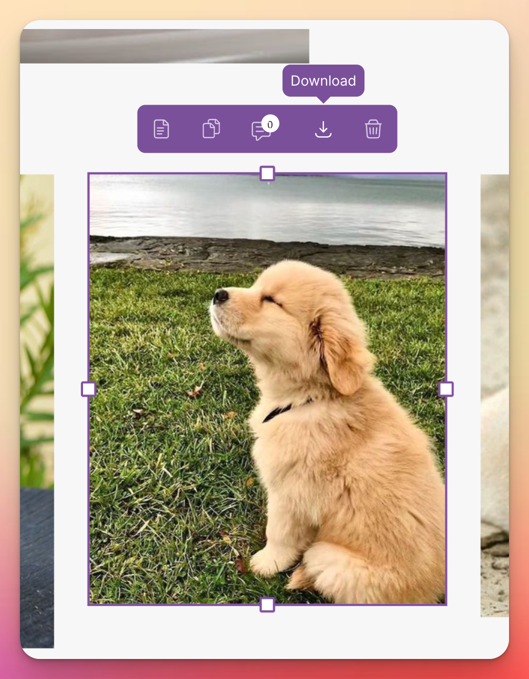 Download your imported images on Make the Dot