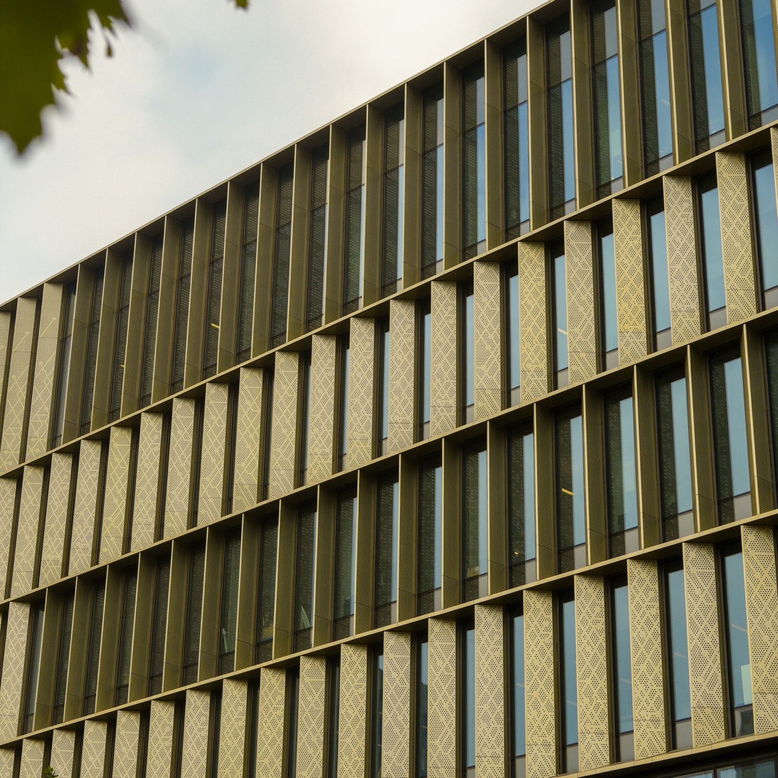 The Dalton Building