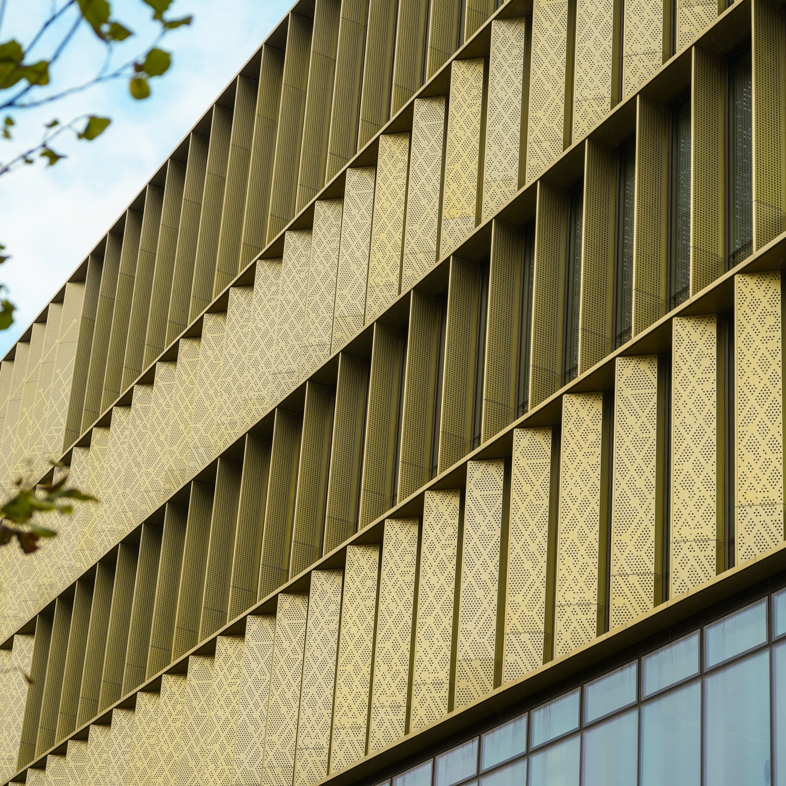 The Dalton Building 
