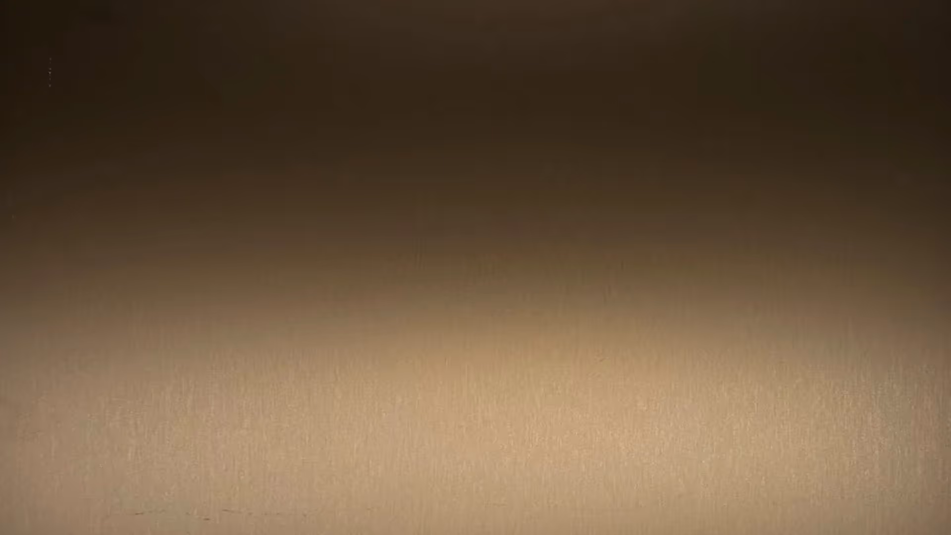 Anolok® 549 Dark Bronze sample