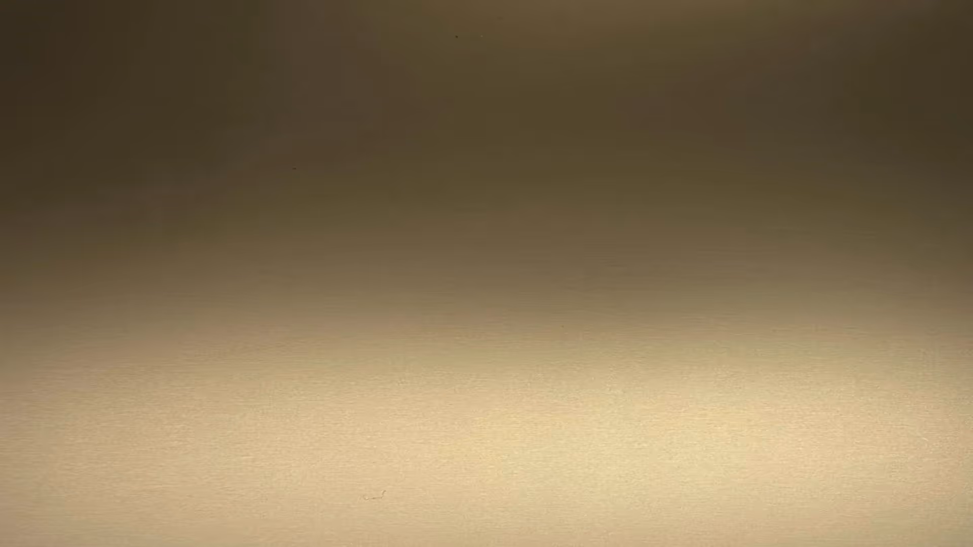 Anolok® 543 Umber sample