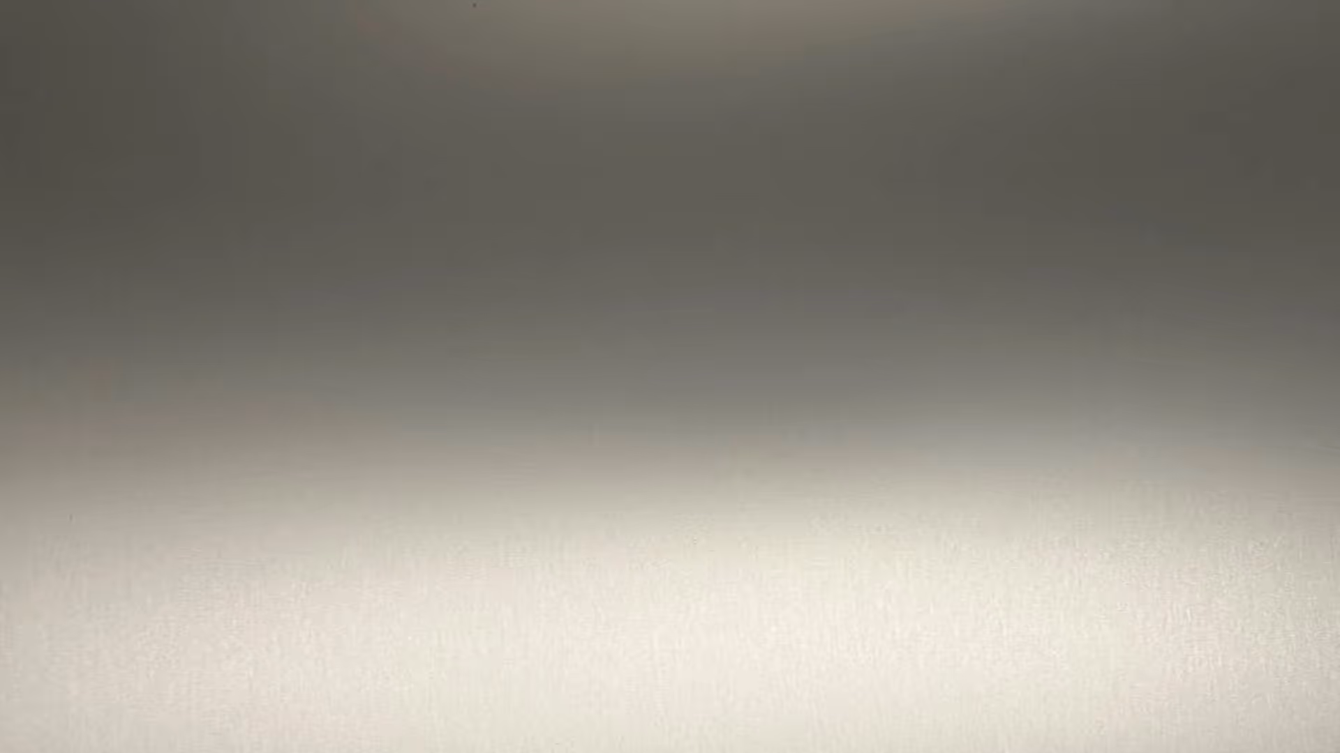 Anolok® 543 Umber sample