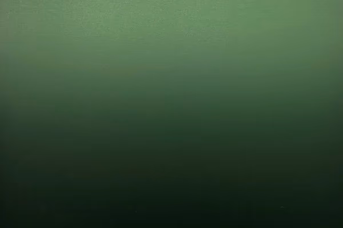 UA 170 Organic Colour sample