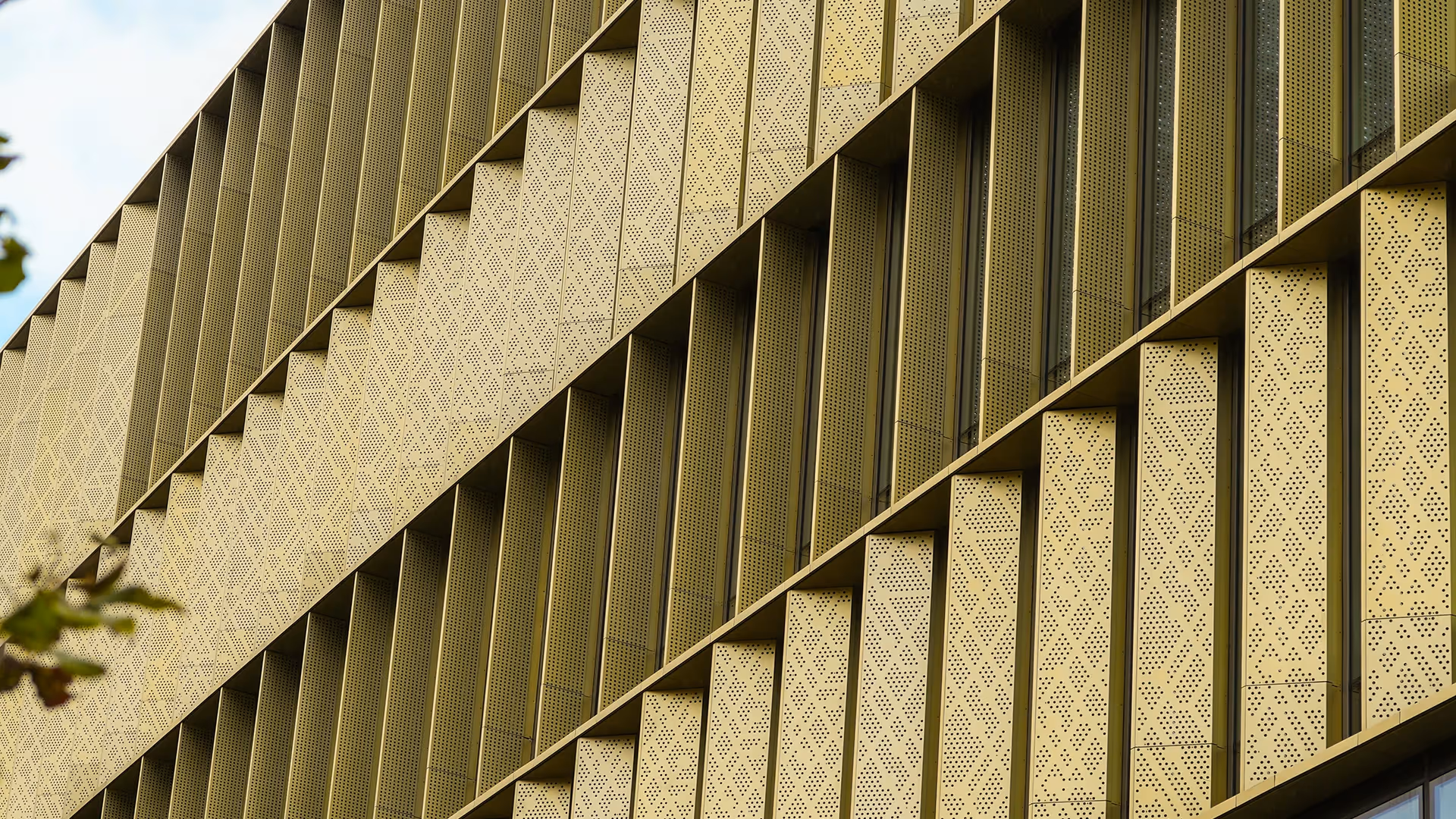The Dalton Building