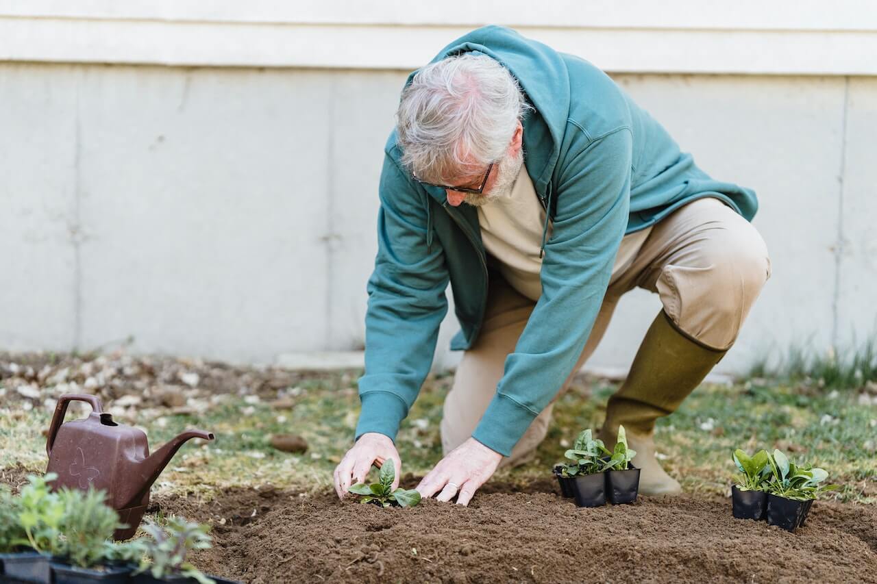 Gardening for seniors - 6 benefits that will surprise you