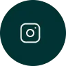 Social Icon