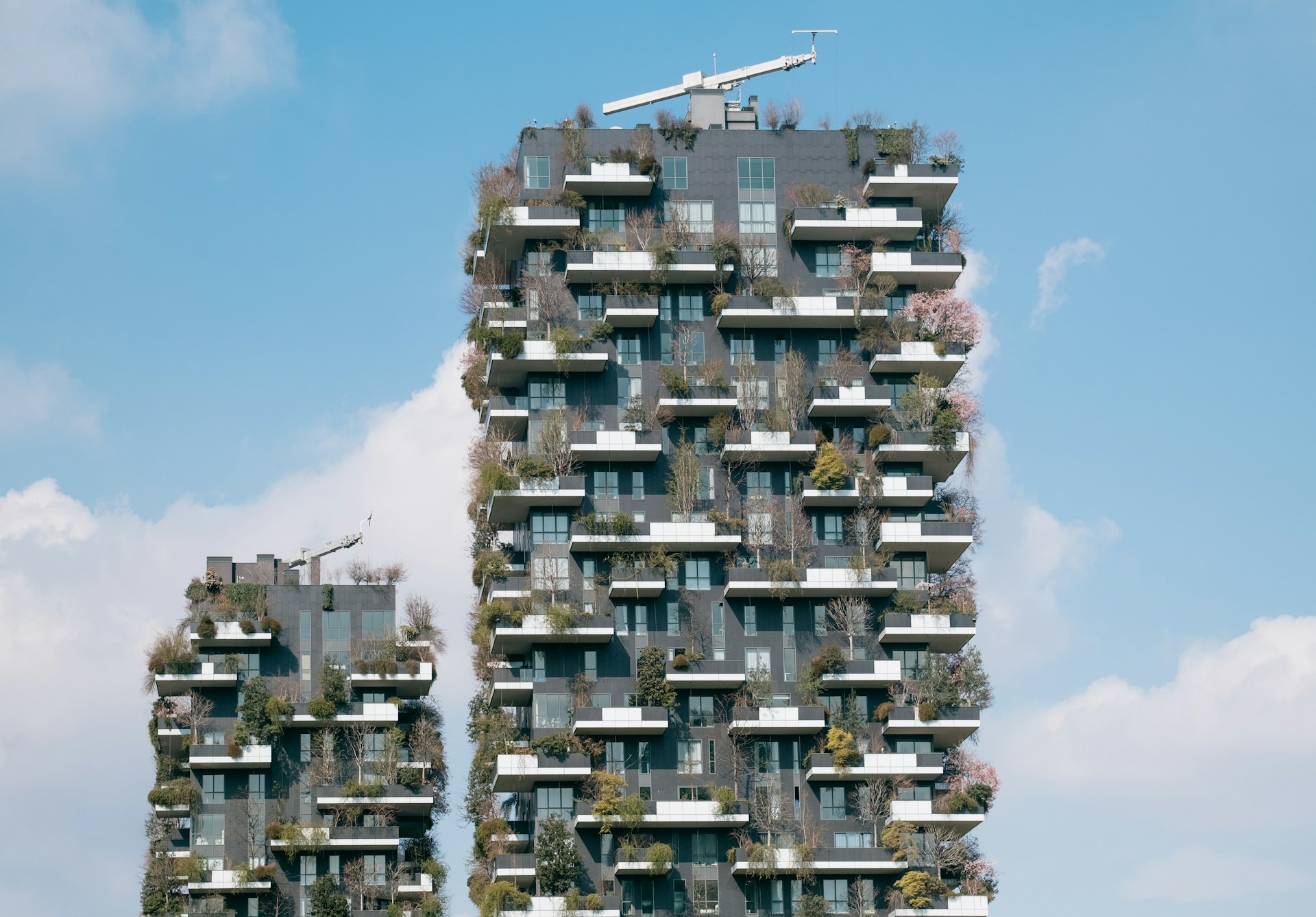 bosco verticale milano