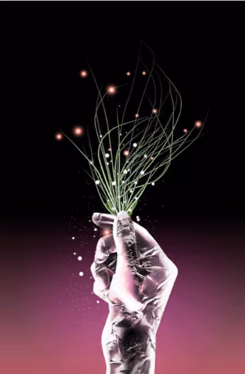 image11.pngimage11.png
