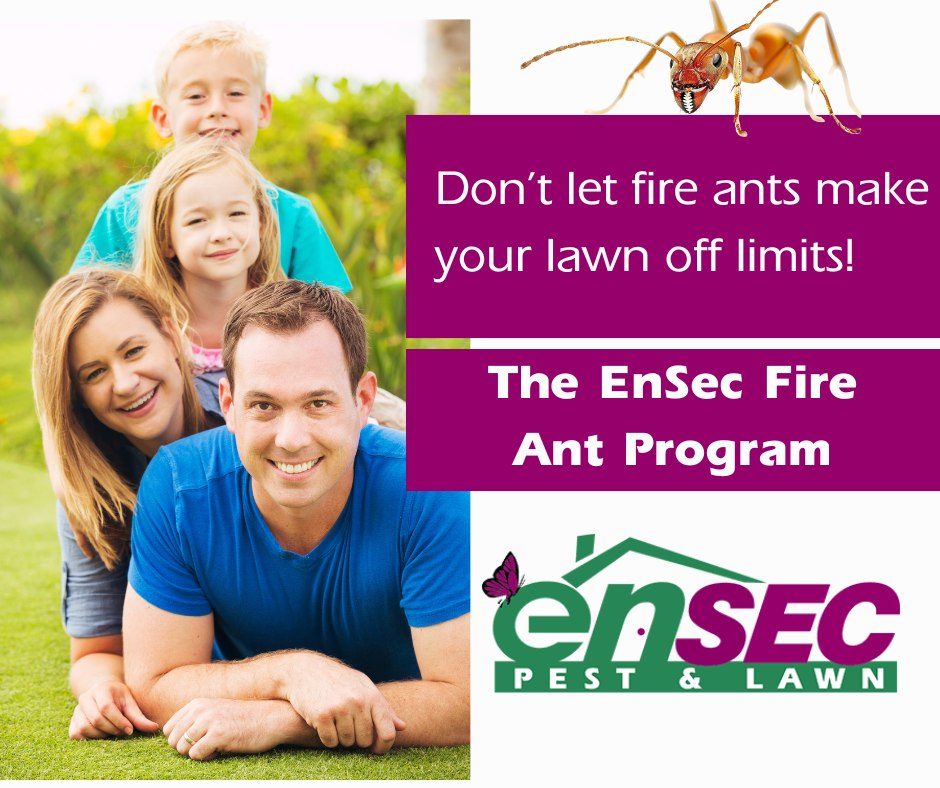 EnSec fire ant treatment and control for lawns and yards