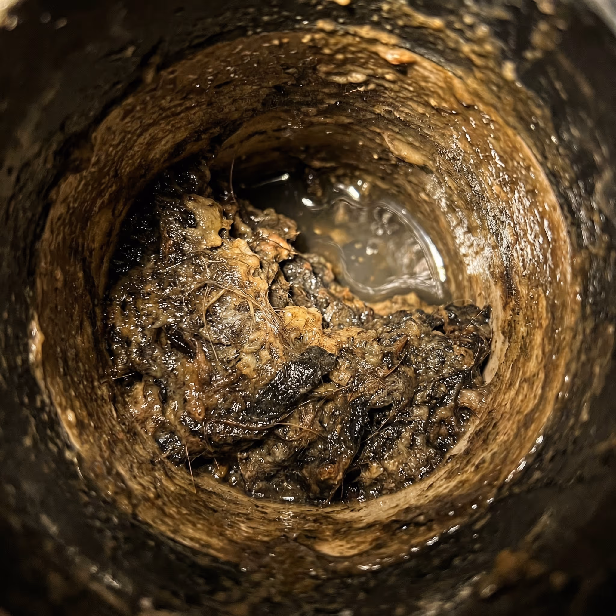 Close-up inside a clogged pipe with thick, wet debris and hair buildup.