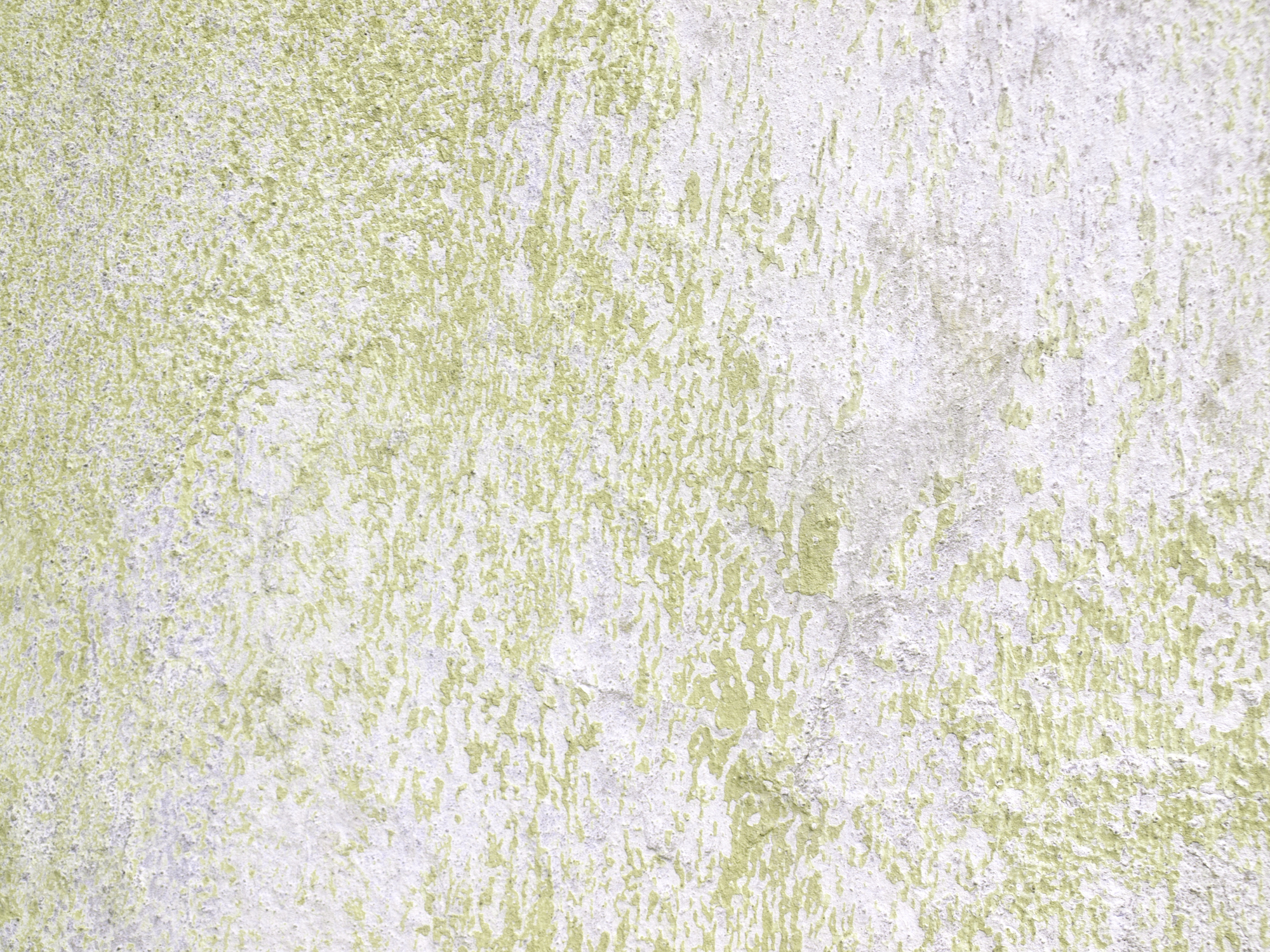 groenaanslag op crepi gevel