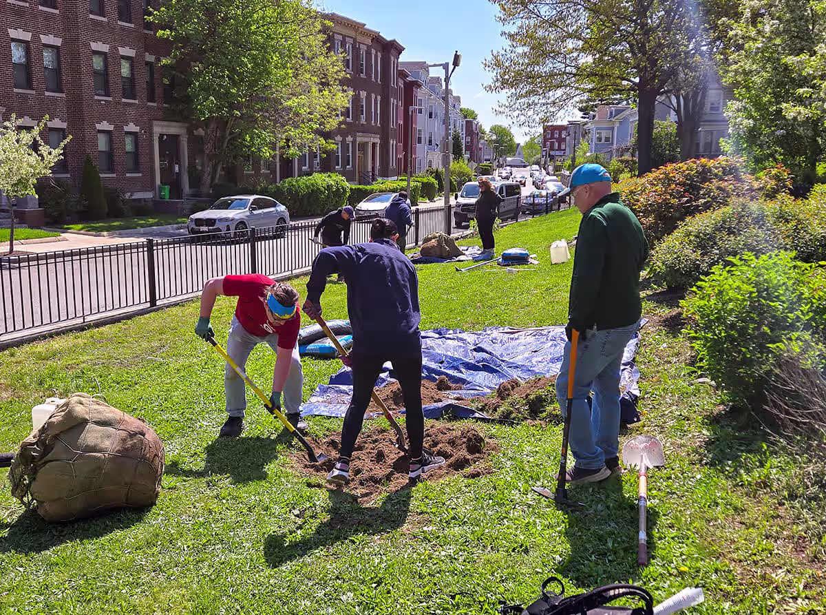 KIC, Speak for the Trees, and Boston Parks Department Partner for Tree Planting in Roxbury