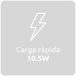 Carga rápida