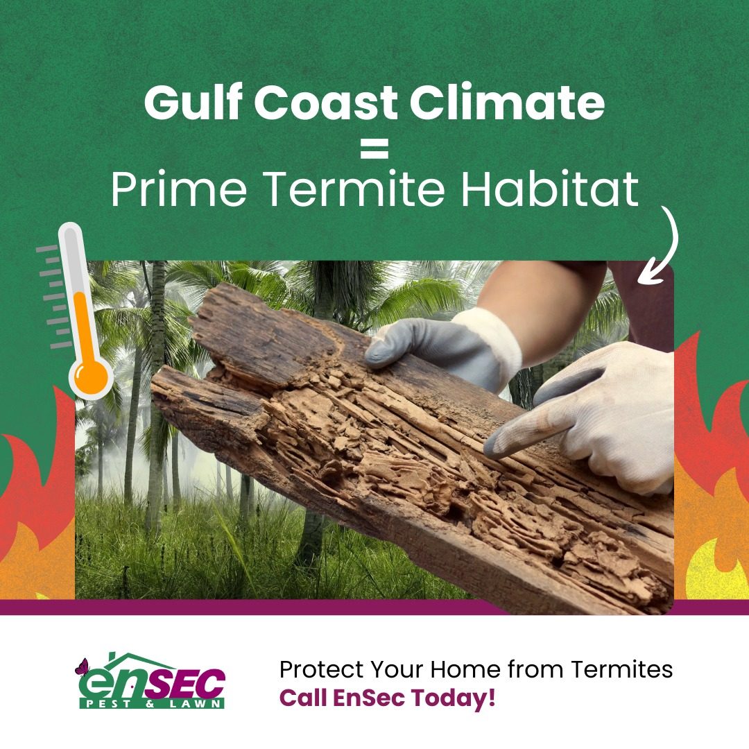 EnSec Pest & Lawn professional service on the Gulf Coast