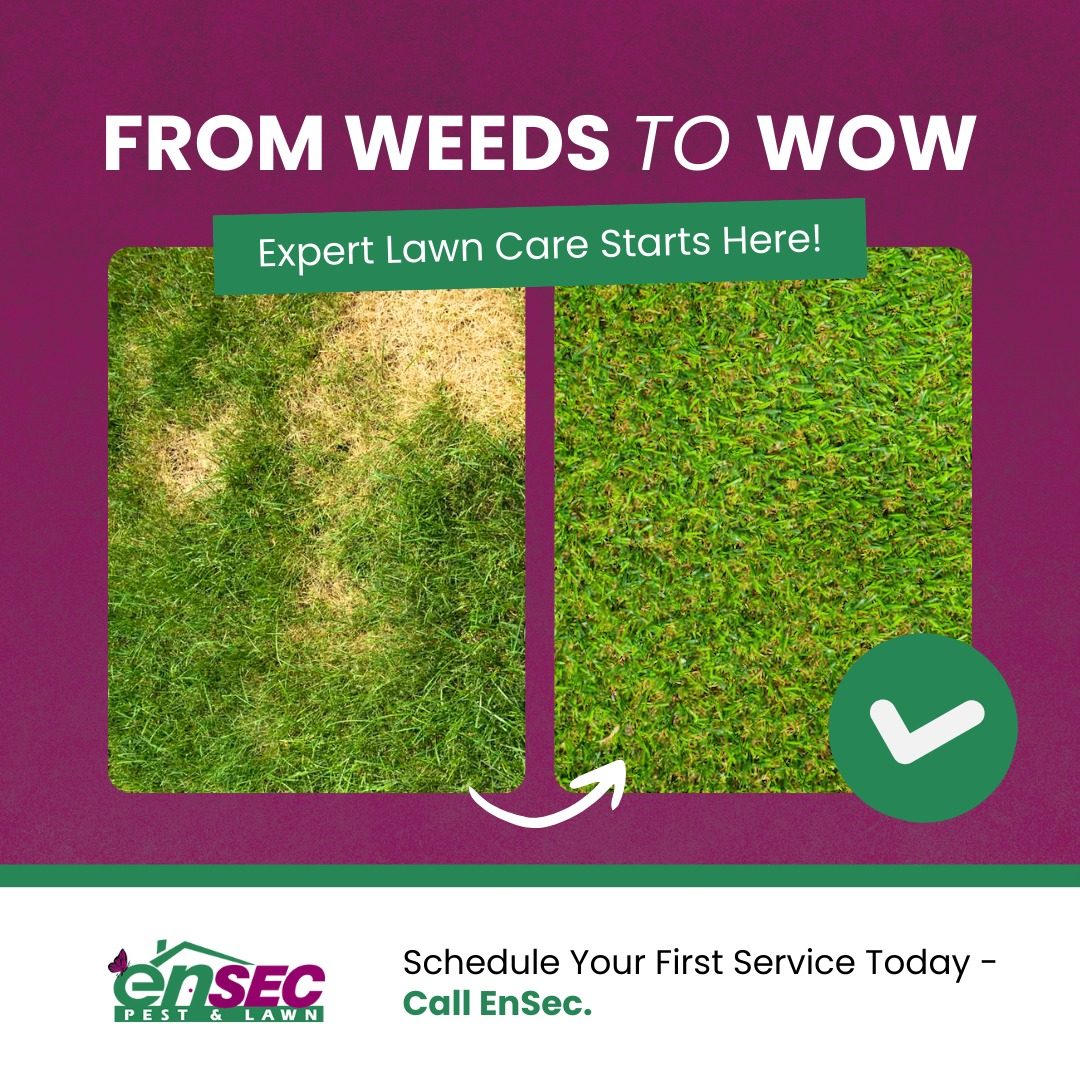 EnSec Pest & Lawn professional service on the Gulf Coast