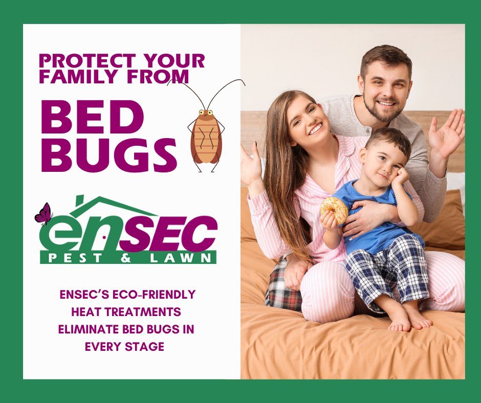 EnSec Pest & Lawn professional service on the Gulf Coast