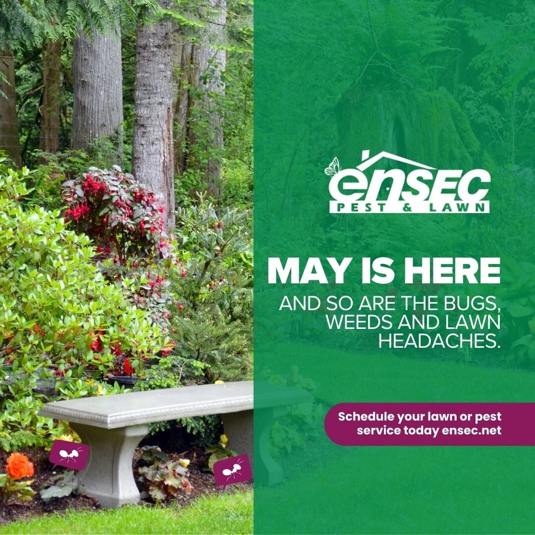Spring lawn care tips from EnSec for Northwest Florida homeowners