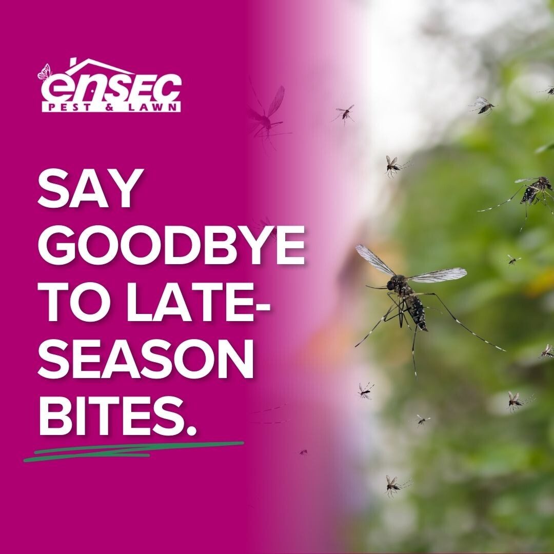 Mosquito season protection tips from EnSec Pest & Lawn