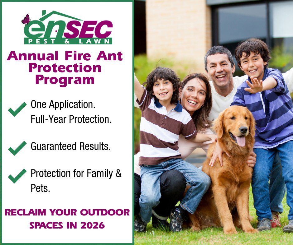 Fire ant control tips and professional treatment by EnSec