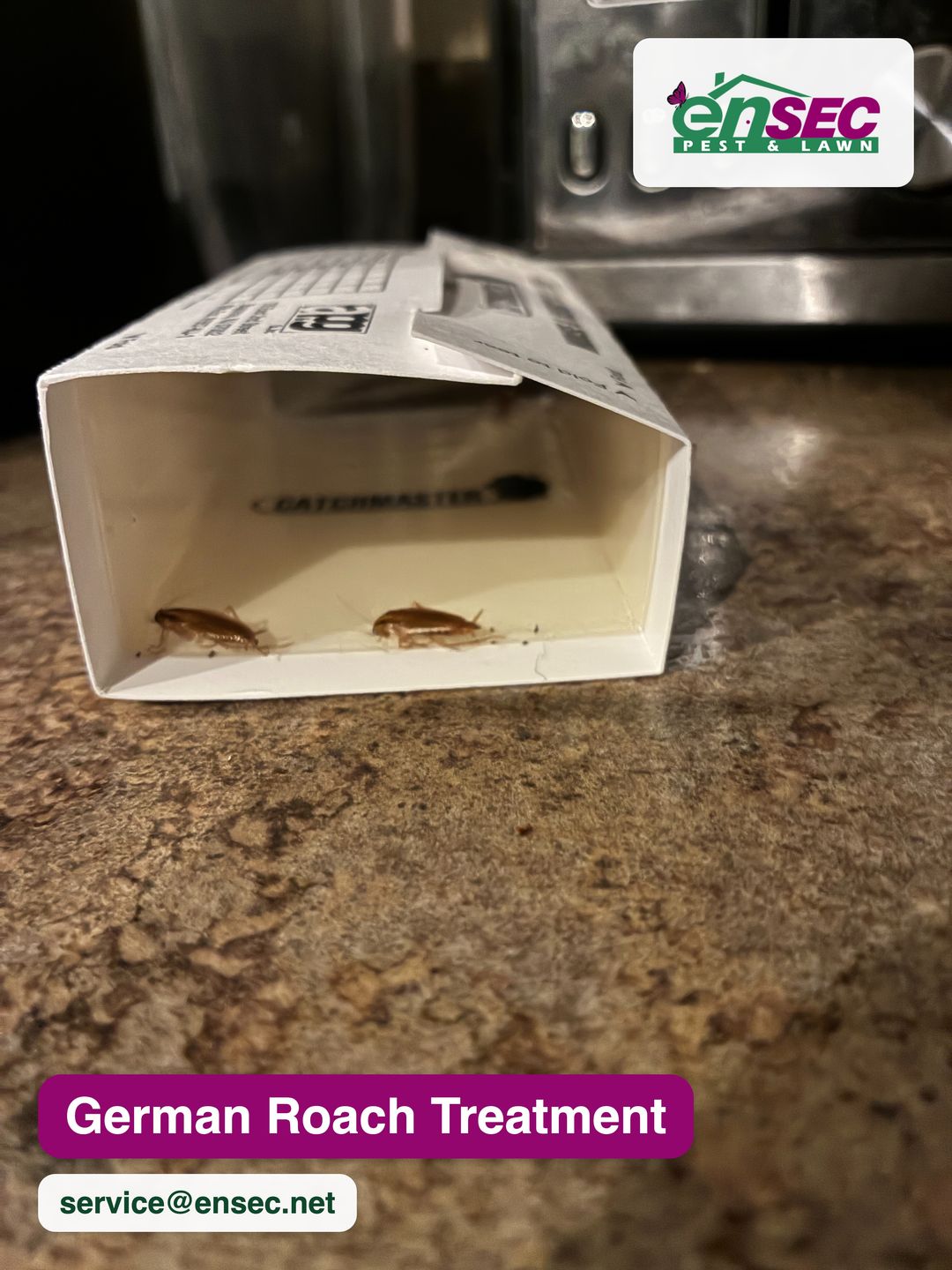 EnSec German cockroach treatment for Gulf Coast homes