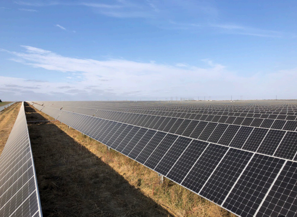 image of sustainable agriculture