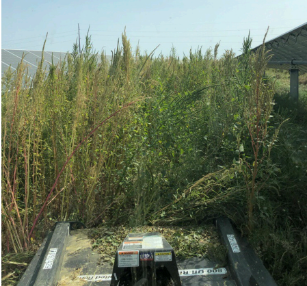 image of a technician installing solar panels