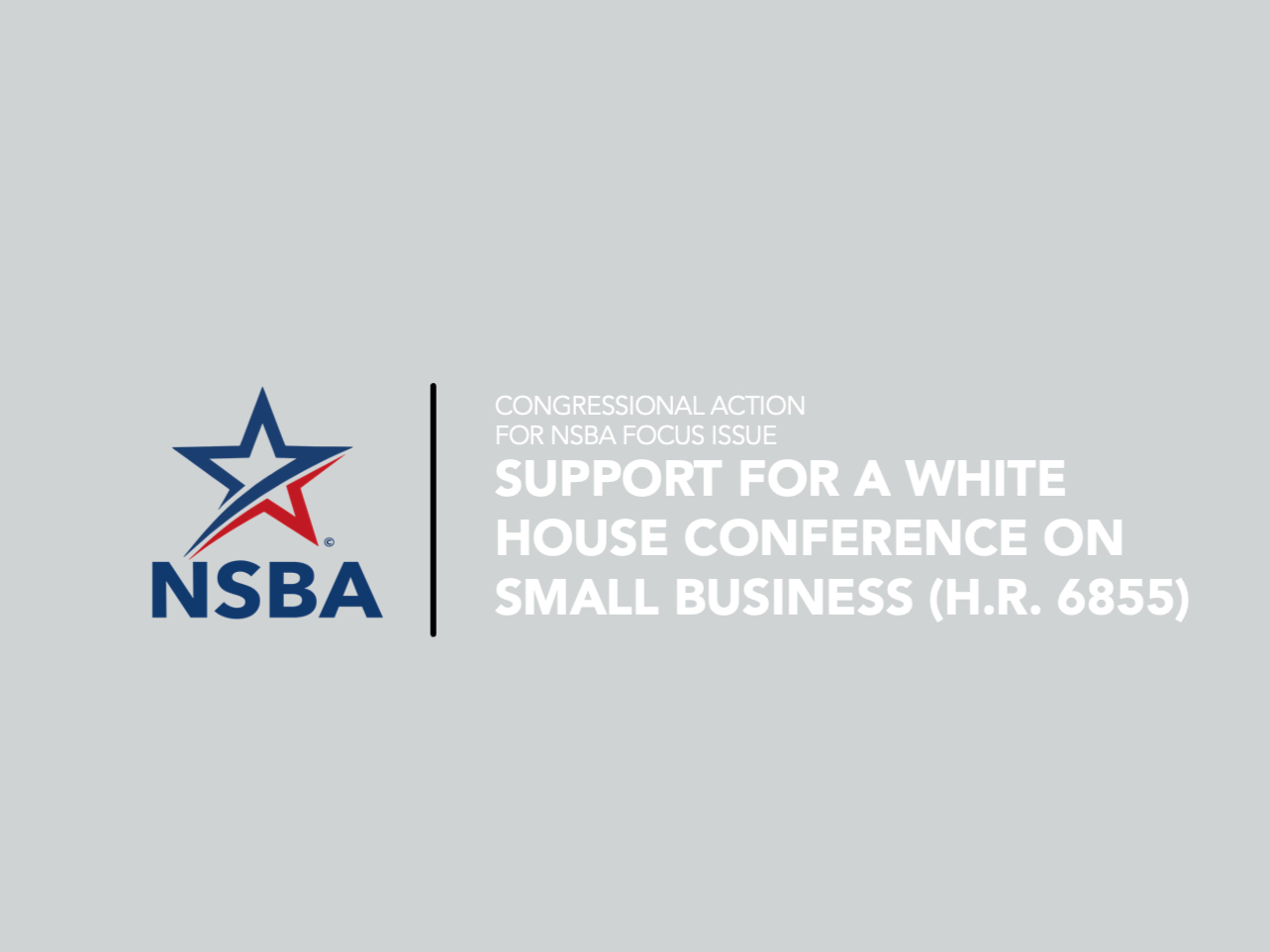 NSBA commends Representatives Davis and Finstad for their leadership in bringing momentum back to a White House Conference on Small Business—an overdue and critical priority NSBA has championed with small businesses nationwide since the last conference convened in 1995.