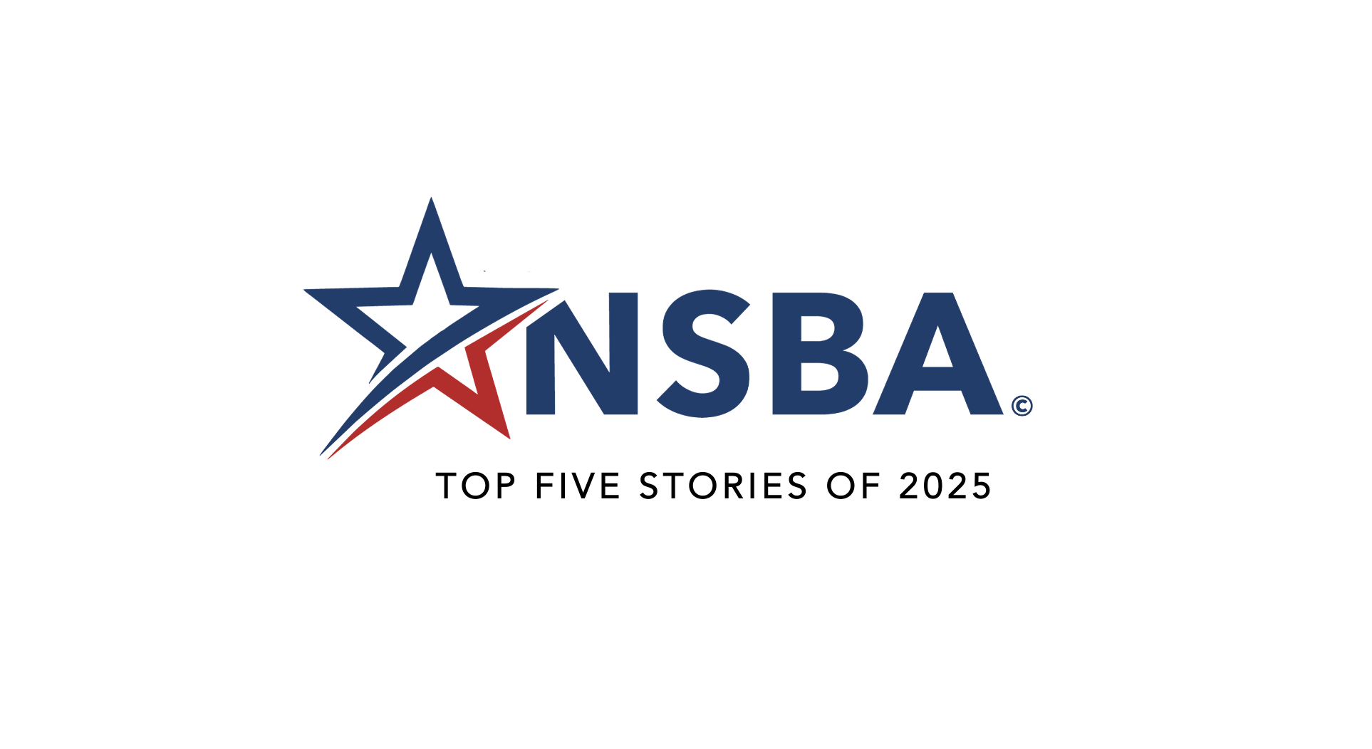 As 2025 comes to a close, it’s time to look back at the major policy battles and developments that shaped the small-business landscape this year - from stalled innovation funding to economic uncertainty and federal gridlock, NSBA remains on the front lines advocating for our members.