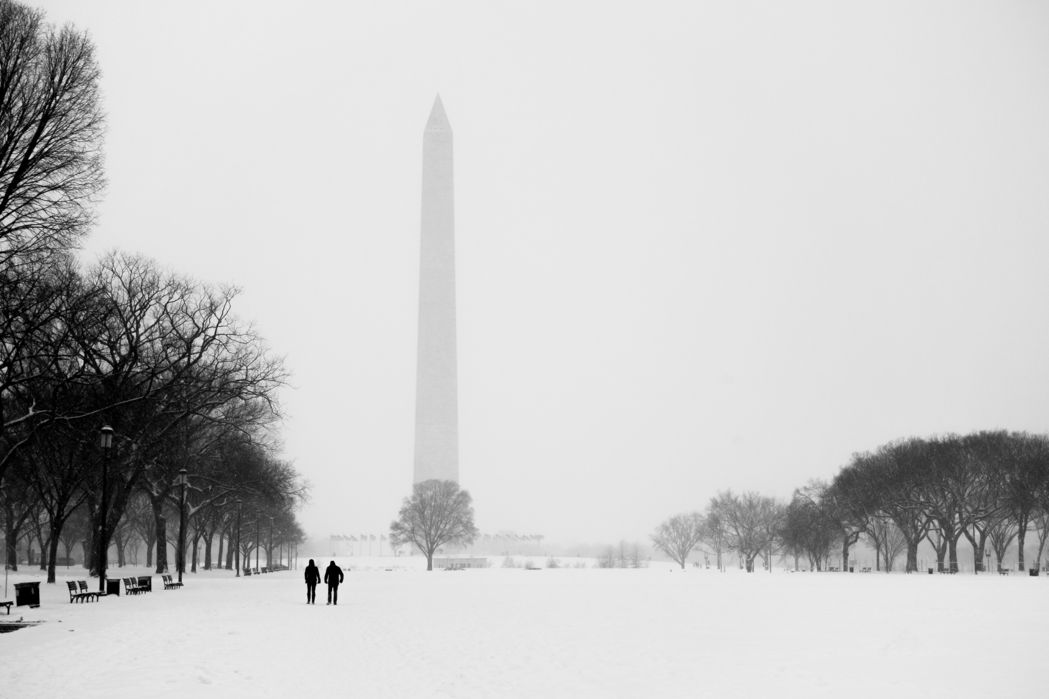 NSBA is privileged to speak as the voice for small business with Congress and in Washington - this holiday season, we are grateful for the chance to look back as a basis for planning ahead for our continued wins in 2026.