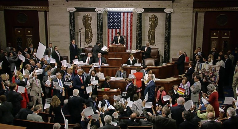 A general photo of Congress voting.