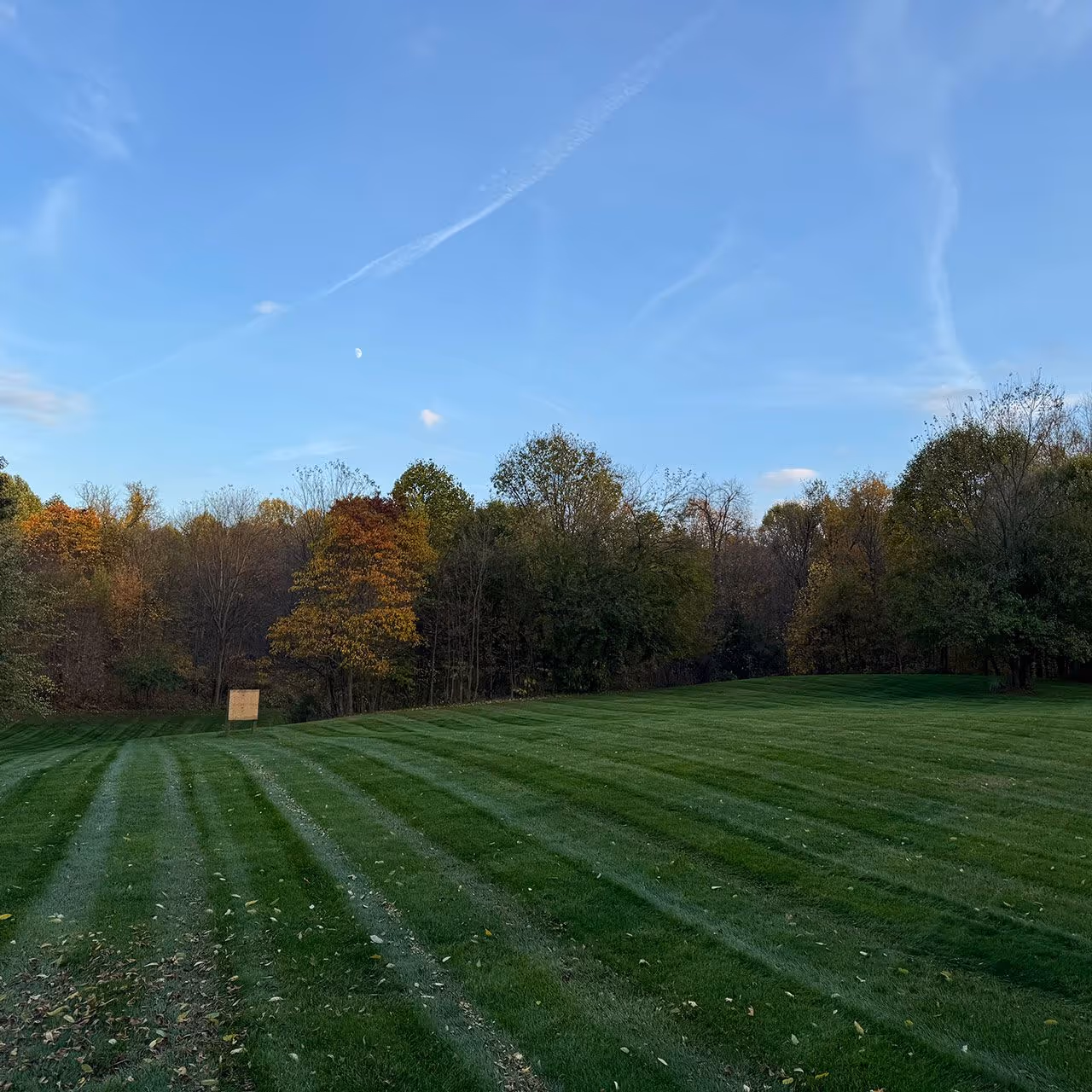 Residential lawn care services with mowing, edging, and trimming by Miller Lawns near me