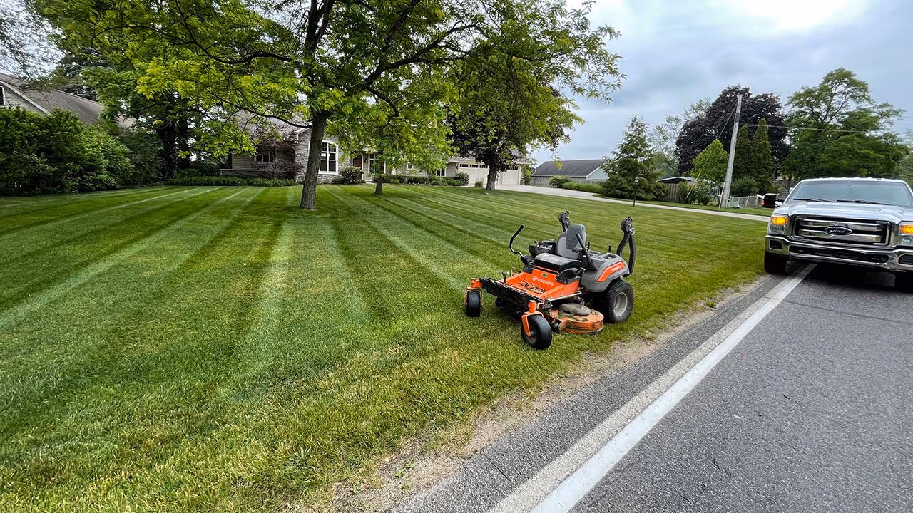 Overgrown yard cleanup and restoration services