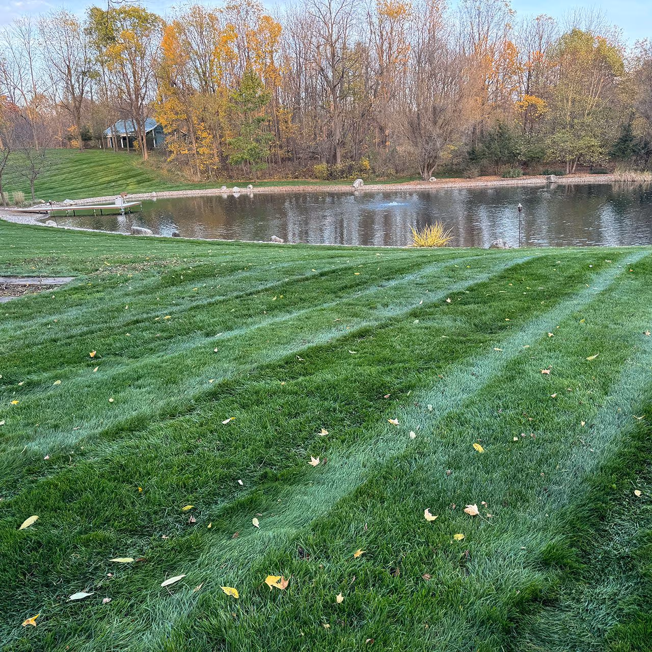 Spring and fall yard cleanup services for homeowners