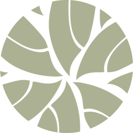 Abstract circular design with curved beige shapes separated by black gaps resembling stylized tree branches or leaves.
