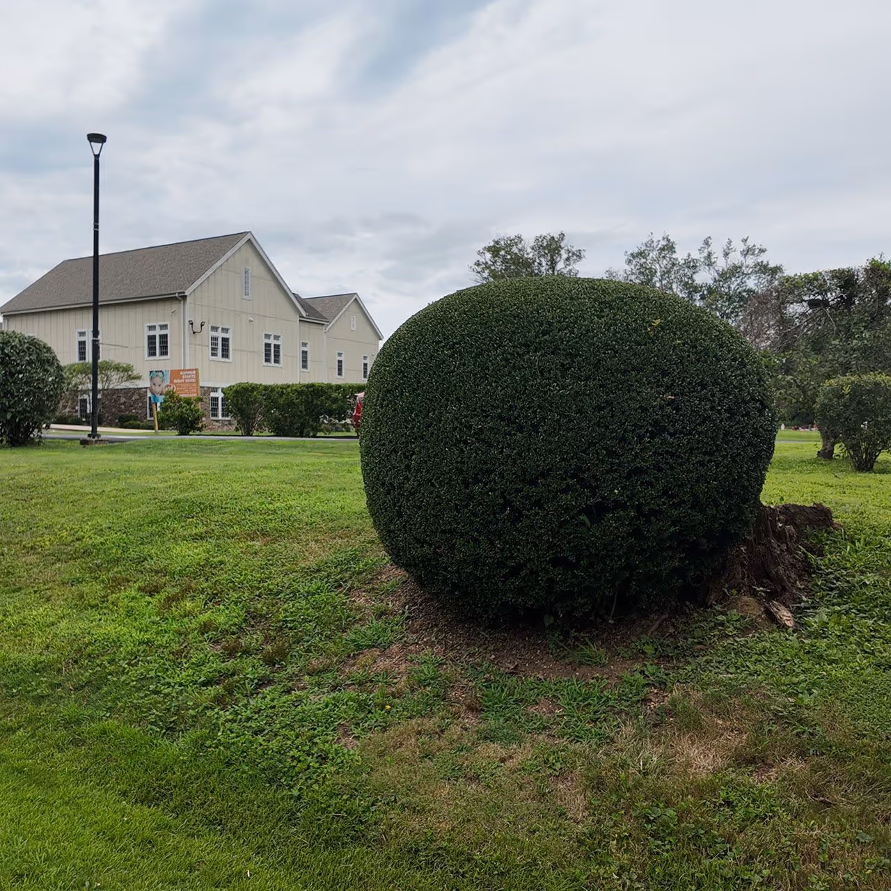 Hedge trimming and shrub pruning services by Adriano Landscaping in Trenton NJ for clean and well maintained landscapes
