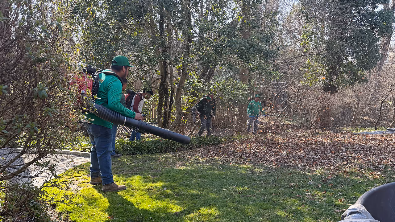 Fall leaf cleanup and debris removal near me in Princeton NJ