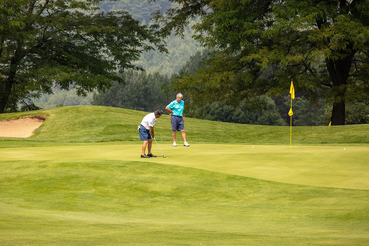 Stay & Play: Malone Golf Club