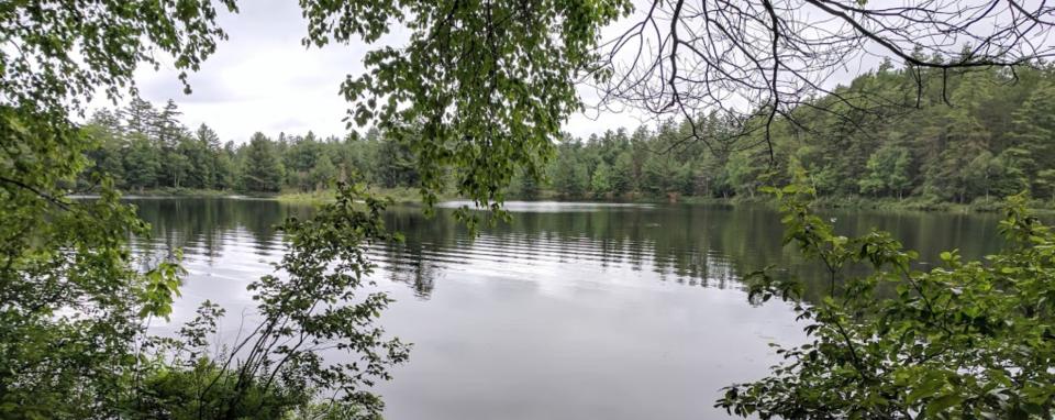 Rollins Pond State Campground