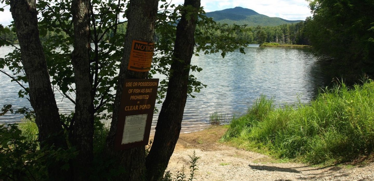 Clear Pond (Boy Scout Camp)