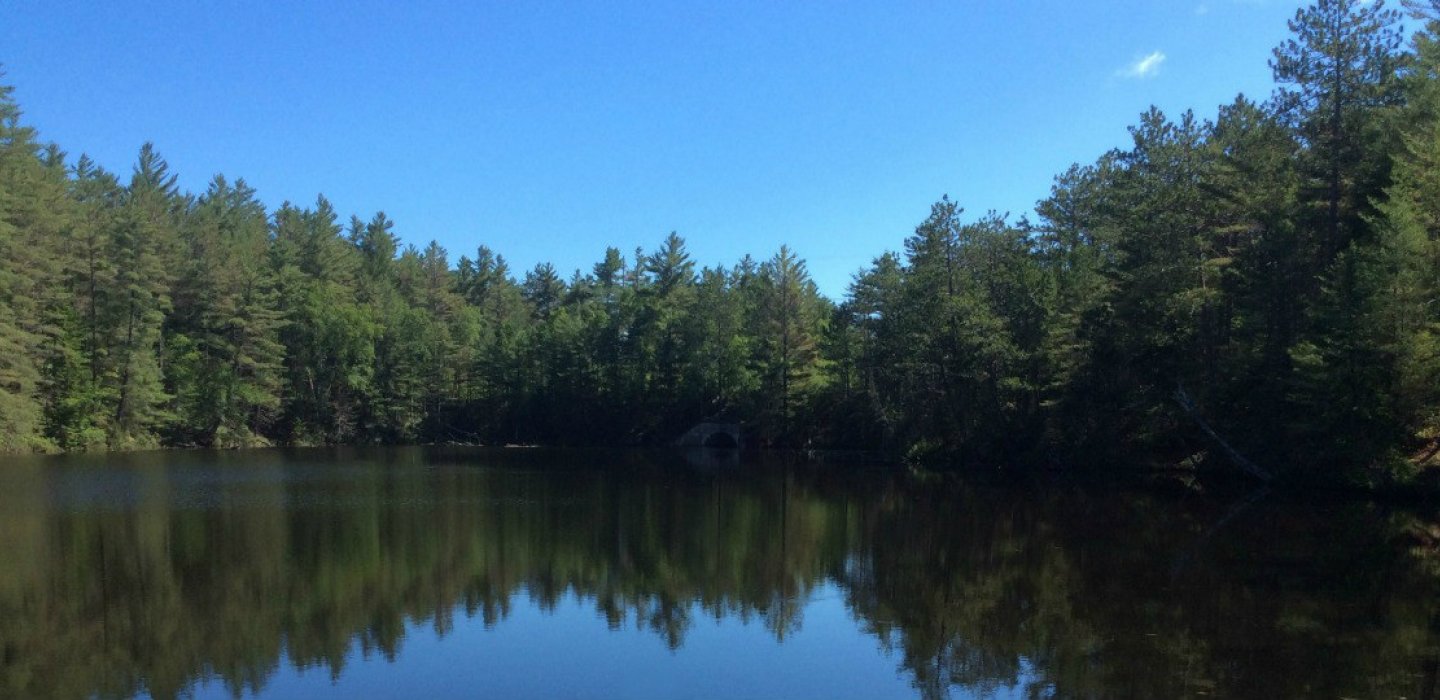 Kushaqua to Mud Pond Road Loop