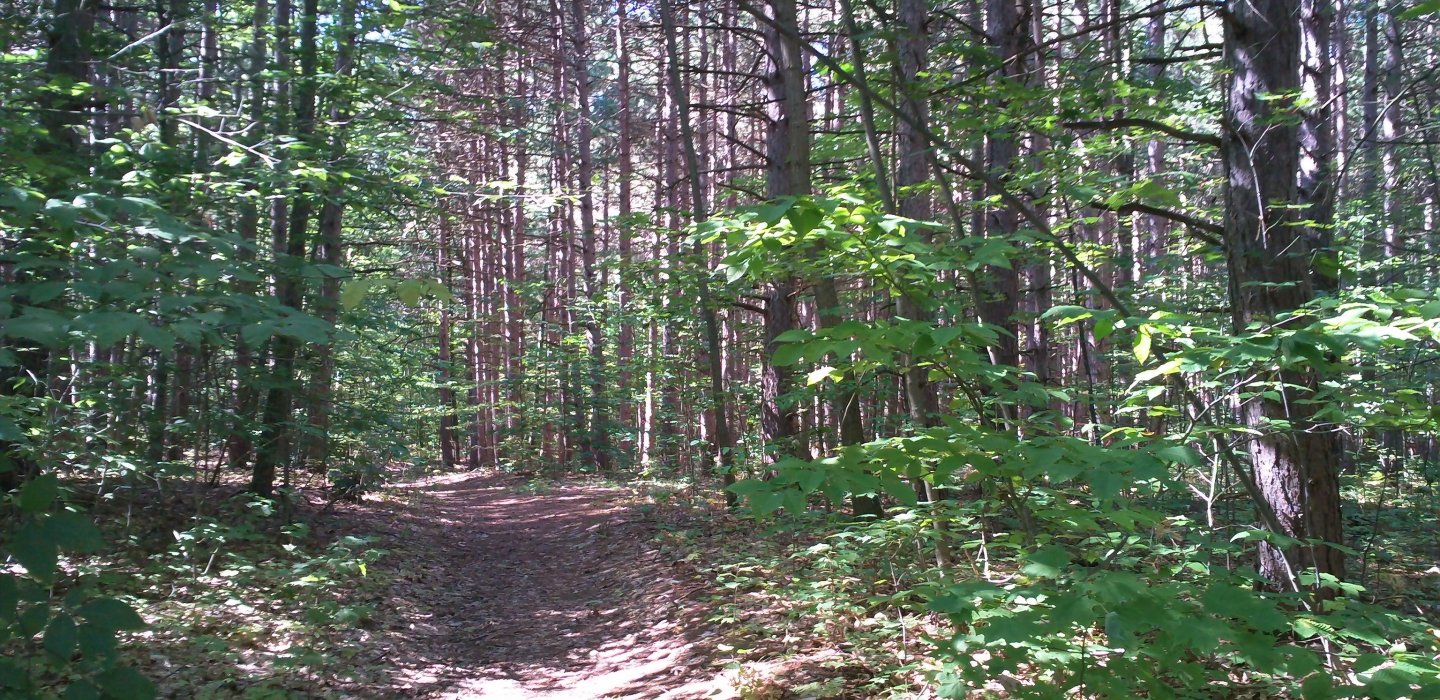 Macomb Trail