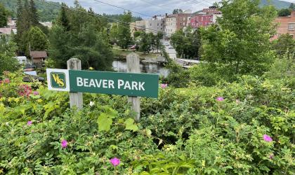 Beaver Park