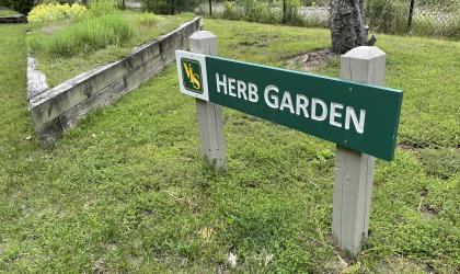 The Herb Garden