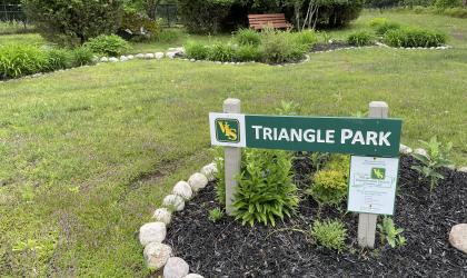 Triangle Park