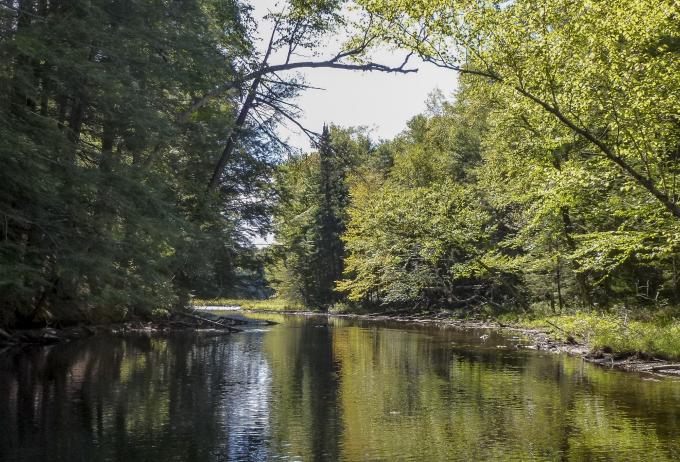Floodwood Pond to Little Square Pond