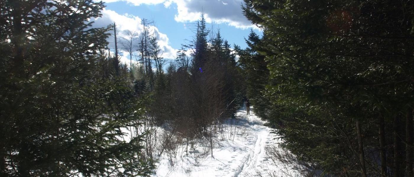 Janacks Landing Trail