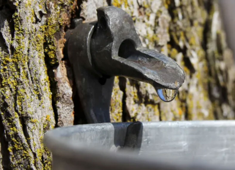 New York State Maple Weekend: Saturday