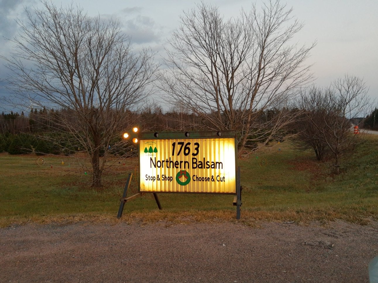 Northern Balsam Christmas Tree Farm